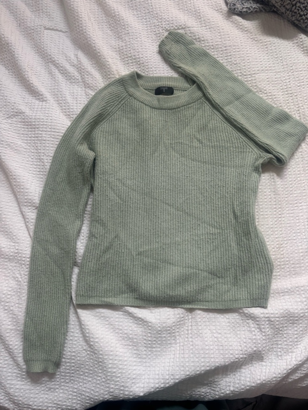 Women's Crewneck Ribbed Sweater in Light Sage